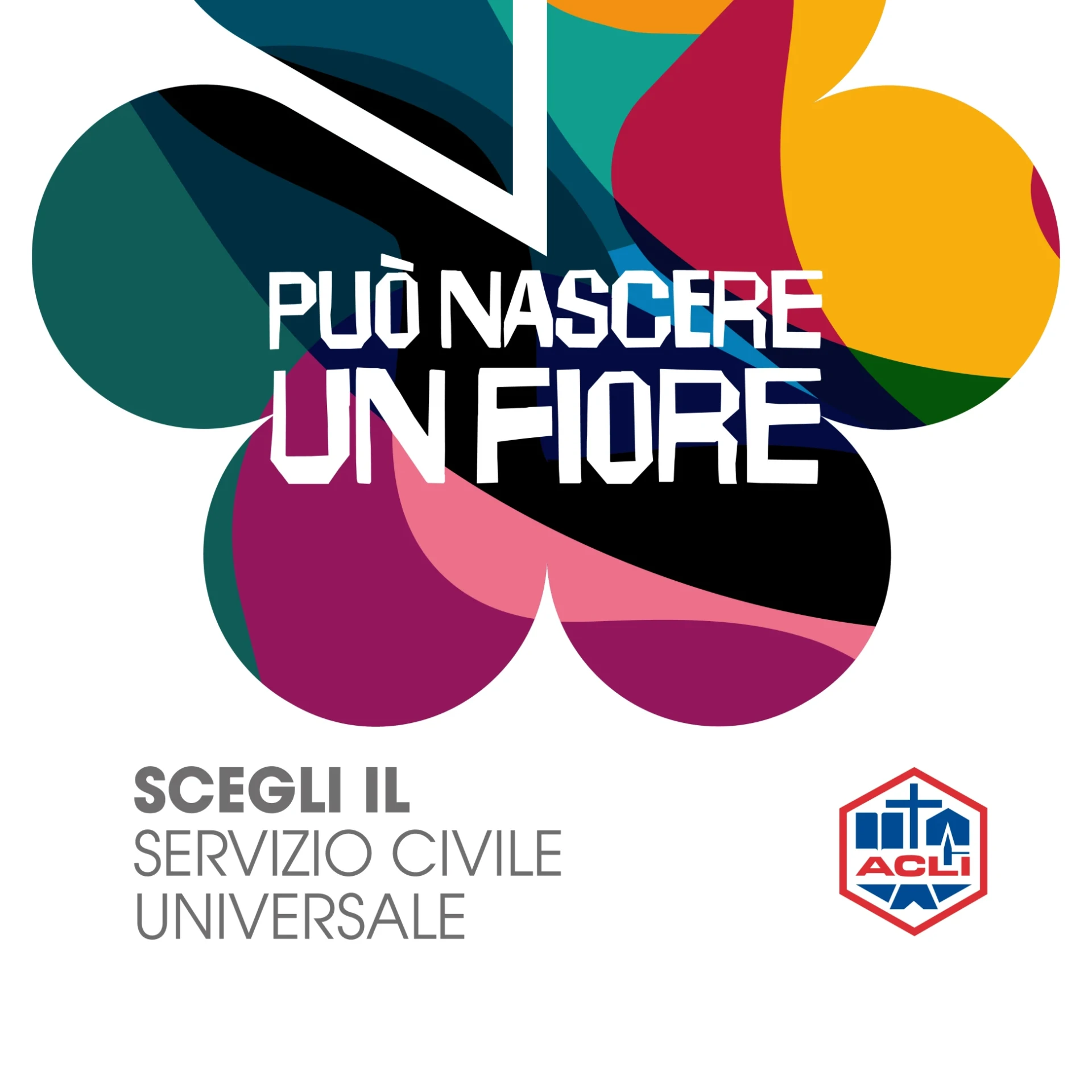 Servizio Civile in ACLI Bergamo